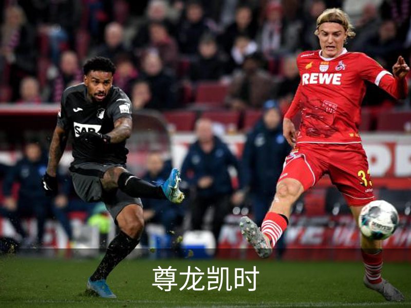 关于尊龙凯时